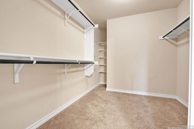 15442 Cooks Petrel, San Antonio, TX 78253 - spacious closet with carpet flooring