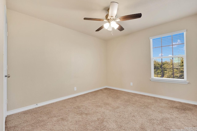 15442 Cooks Petrel, San Antonio, TX 78253 - spare room with carpet floors and ceiling fan