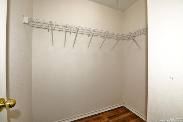 245 Gatewood, Cibolo, TX 78108 - spacious closet with dark wood-style floors