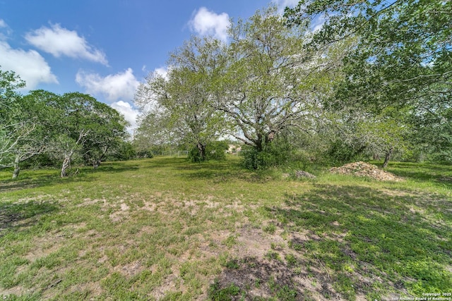 15311 Tamaron Pass, San Antonio, TX 78253 - view of yard