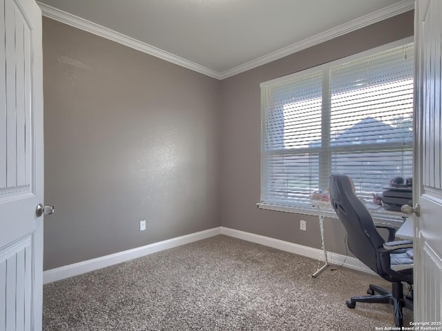 7566 Copper Cv, Converse, TX 78109 - office area with ornamental molding and carpet
