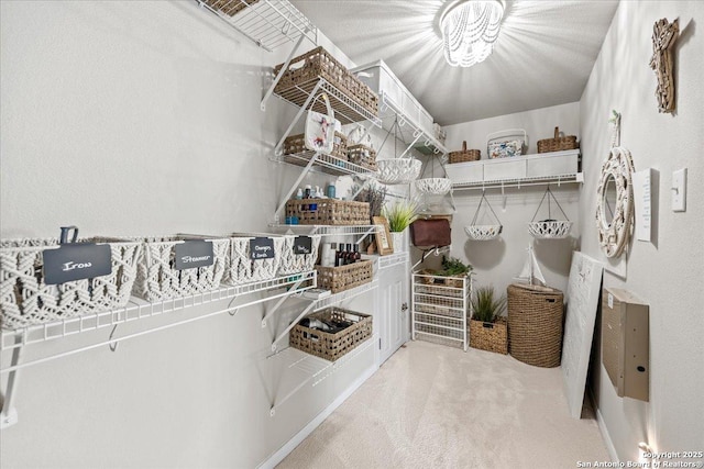25702 Coleus, San Antonio, TX 78261 - spacious closet with carpet floors