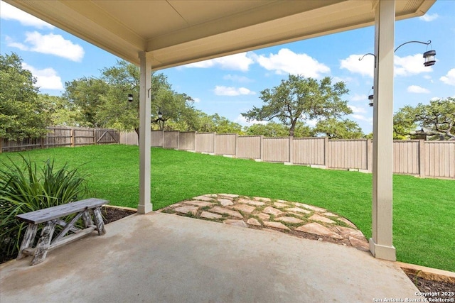 25702 Coleus, San Antonio, TX 78261 - fenced backyard with a patio area