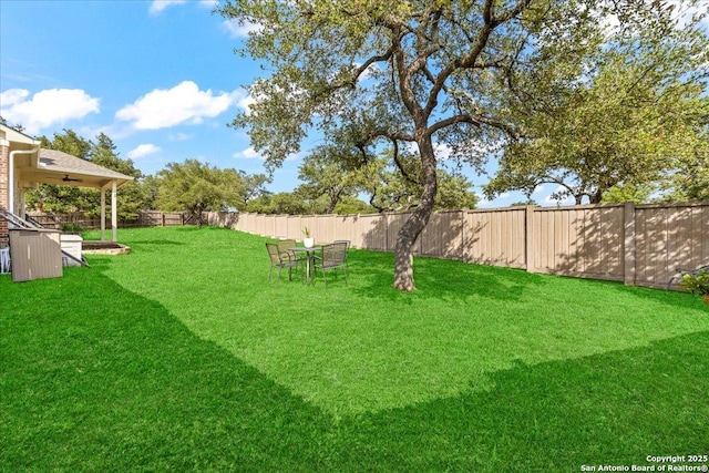 25702 Coleus, San Antonio, TX 78261 - fenced backyard with ceiling fan