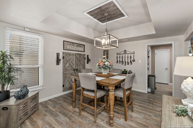 2026 Encino Vista St, San Antonio, TX 78259 - dining room featuring a tray ceiling, a chandelier, and wood finished floors