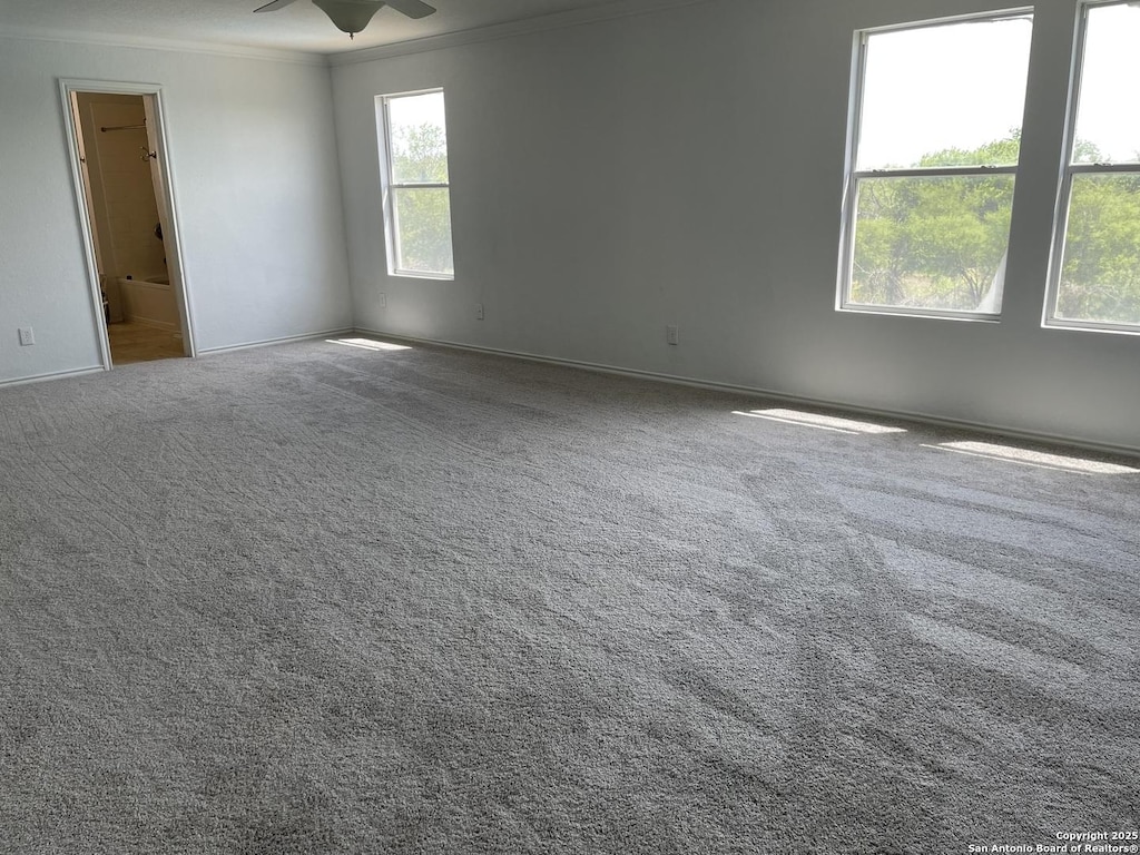 213 Hinge Loop, Cibolo, TX 78108 - carpeted empty room with ornamental molding and ceiling fan