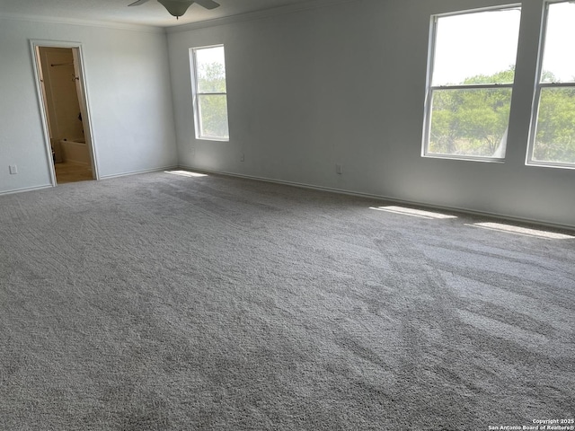 213 Hinge Loop, Cibolo, TX 78108 - carpeted empty room with ornamental molding and ceiling fan