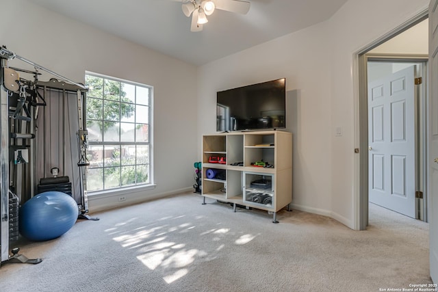 13947 Amber Crst, San Antonio, TX 78249 - workout room with carpet, healthy amount of natural light, and ceiling fan