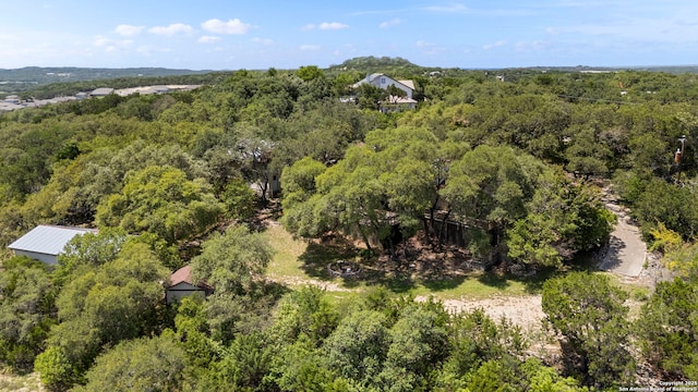25615 Dull Knife Trl, San Antonio, TX 78255 - aerial view of a forest