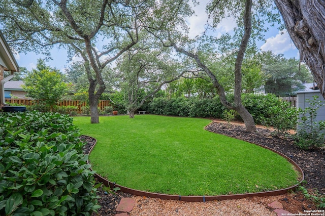 14519 Parksite Woods, San Antonio, TX 78249 - view of fenced backyard