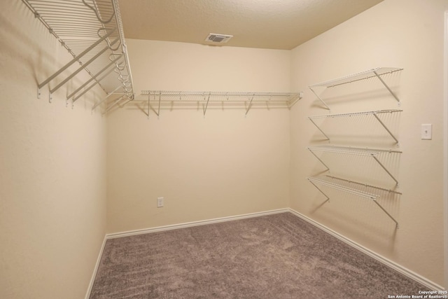 27422 Bighorn Sheep, Boerne, TX 78015 - walk in closet featuring carpet floors