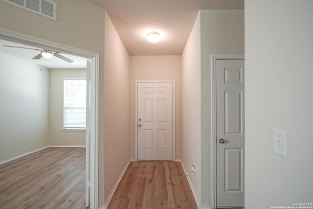 27422 Bighorn Sheep, Boerne, TX 78015 - hallway with light wood finished floors and baseboards