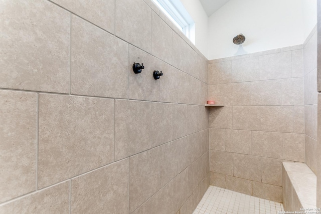 8030 Chanting, San Antonio, TX 78223 - bathroom featuring tiled shower