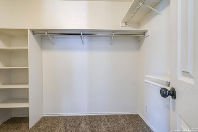 4763 Bending Grv, San Antonio, TX 78259 - spacious closet with carpet