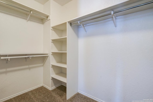 4763 Bending Grv, San Antonio, TX 78259 - walk in closet with carpet floors