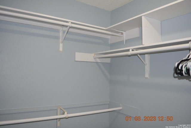4107 Medical Dr Unit 8204, San Antonio, TX 78229 - view of spacious closet