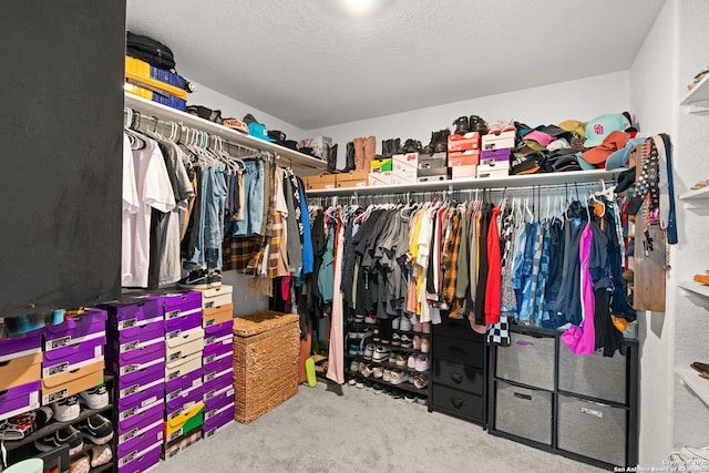 6583 Runaway, Converse, TX 78109 - spacious closet with carpet