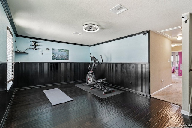 630 Oxalis, San Antonio, TX 78260 - workout room featuring attic access, wainscoting, crown molding, wood finished floors, and a textured ceiling