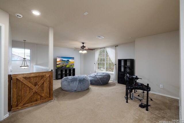 9915 Mustang Isle, San Antonio, TX 78254 - living room with carpet and a ceiling fan