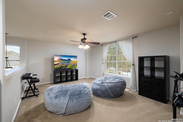 9915 Mustang Isle, San Antonio, TX 78254 - living area with ceiling fan and carpet floors