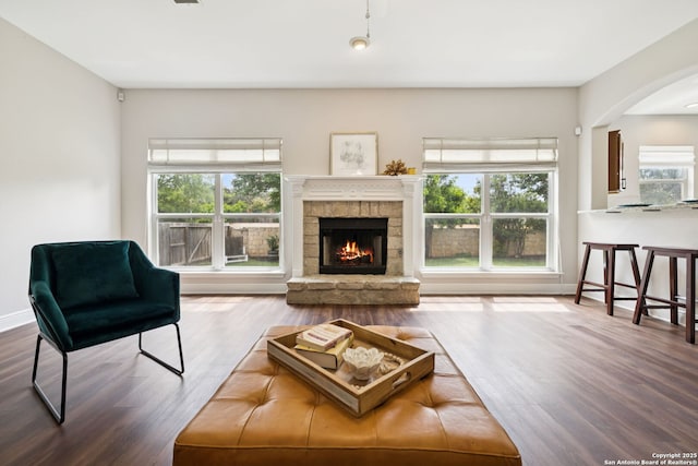 18310 Redwood Path, San Antonio, TX 78259 - living room featuring wood finished floors, arched walkways, and a fireplace