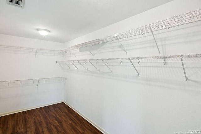 18310 Redwood Path, San Antonio, TX 78259 - spacious closet with dark wood-style floors