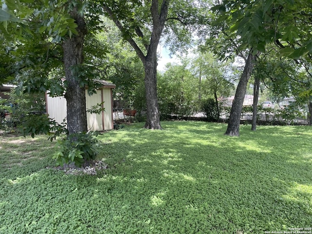 603 Humboldt, San Antonio, TX 78211 - view of grassy yard featuring a storage shed