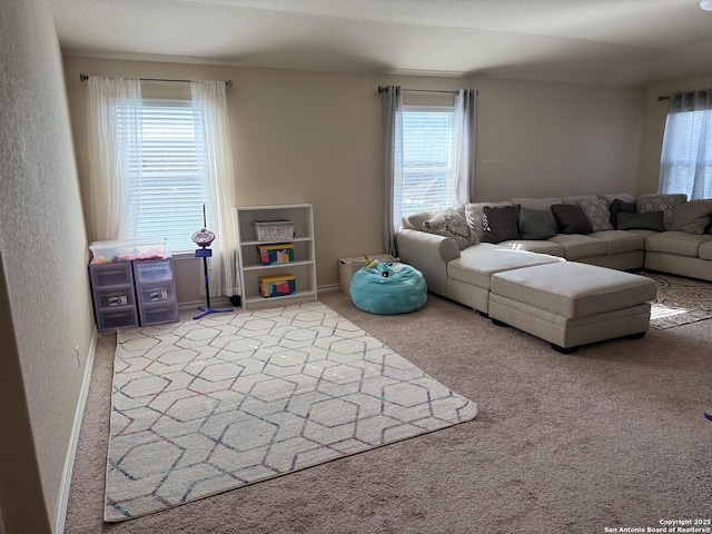 15530 Gray Catbird, San Antonio, TX 78253 - carpeted living room with healthy amount of natural light
