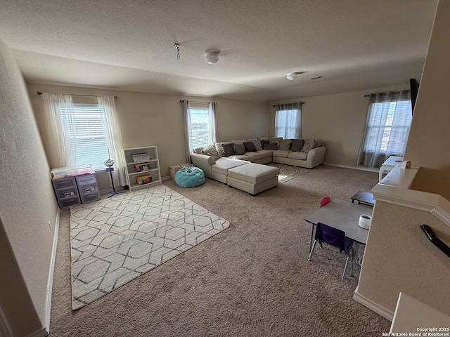 15530 Gray Catbird, San Antonio, TX 78253 - living area featuring carpet and a textured ceiling