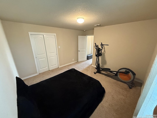 15530 Gray Catbird, San Antonio, TX 78253 - workout area featuring light carpet and a textured ceiling