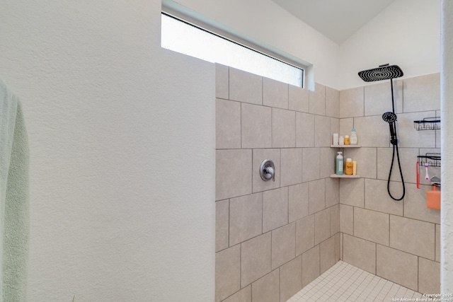 10626 Erinita, Converse, TX 78109 - full bathroom featuring a tile shower
