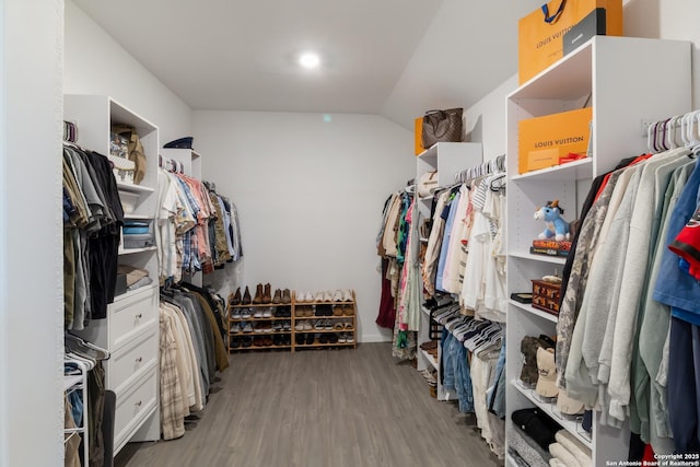 10626 Erinita, Converse, TX 78109 - walk in closet featuring wood finished floors and lofted ceiling
