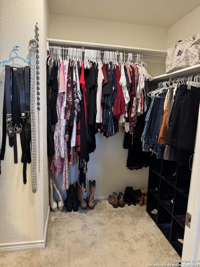 1038 Loma Mesa, San Antonio, TX 78214 - spacious closet with carpet