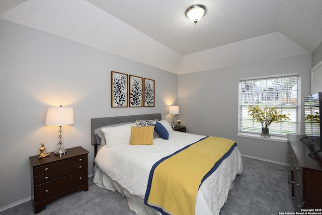 9536 W Dover Rdg, San Antonio, TX 78250 - carpeted bedroom featuring a textured ceiling and lofted ceiling