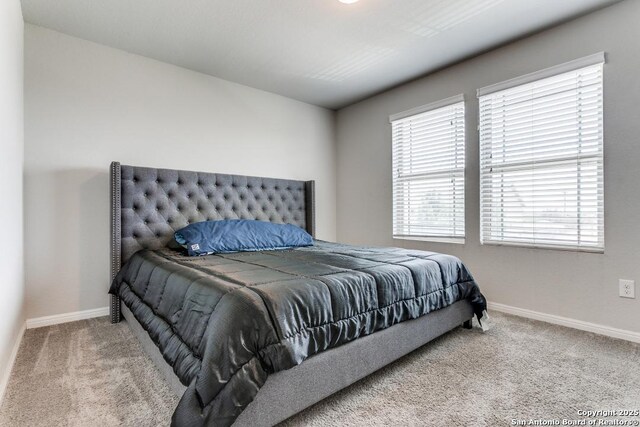 6723 Dashmoor, San Antonio, TX 78244 - bedroom with carpet floors and multiple windows