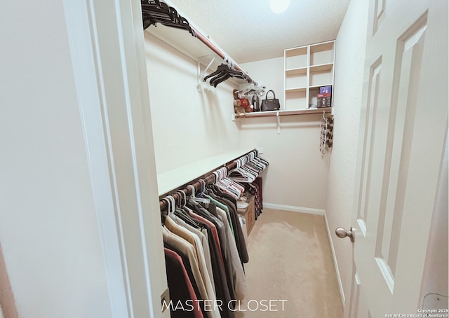4018 Matson Mnr, Converse, TX 78109 - walk in closet featuring carpet floors