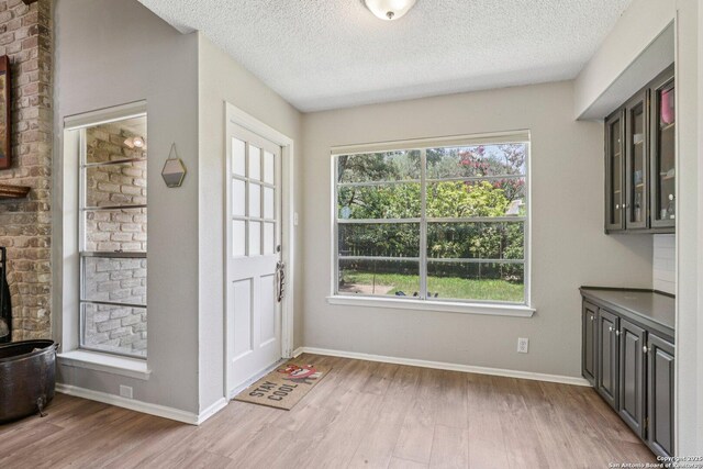 2019 Crooked, San Antonio, TX 78232 - doorway featuring light wood-type flooring and a textured ceiling