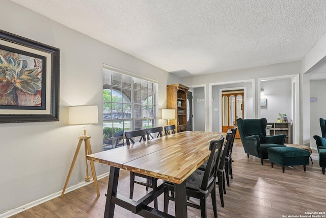 2019 Crooked, San Antonio, TX 78232 - dining room with wood finished floors and a textured ceiling