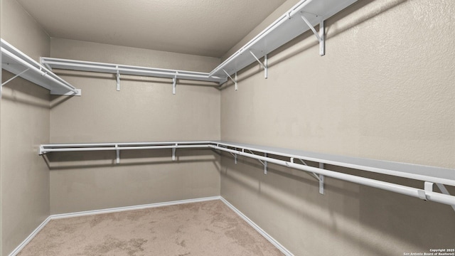 702 Pelican Pt, San Antonio, TX 78221 - spacious closet featuring carpet floors