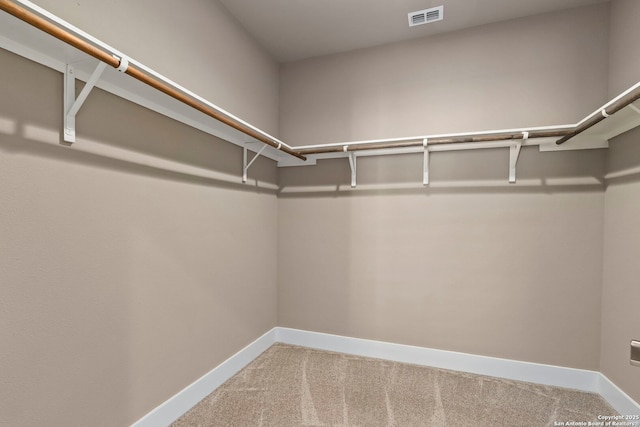 7934 Teak Ln, San Antonio, TX 78209 - spacious closet with carpet