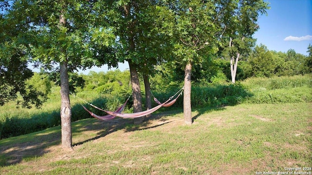 19811 Ranch Road 152, Llano, TX 76831 - view of grassy yard