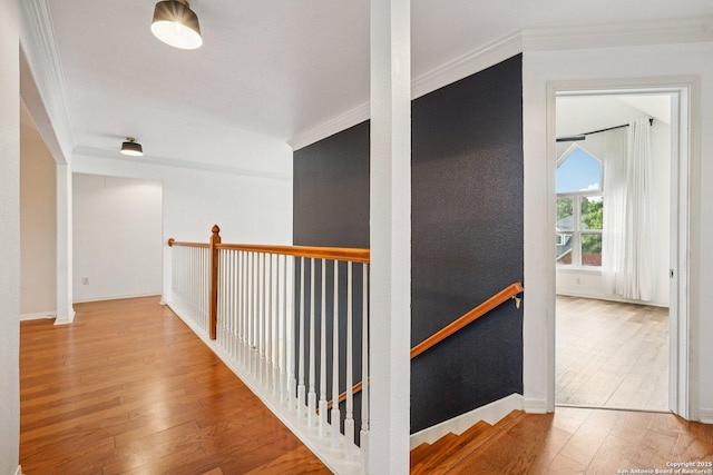 1159 Bluff Frst, San Antonio, TX 78248 - hallway with crown molding and hardwood / wood-style floors
