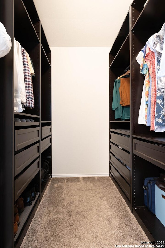 5944 Sterling Vw, Schertz, TX 78108 - spacious closet featuring carpet floors