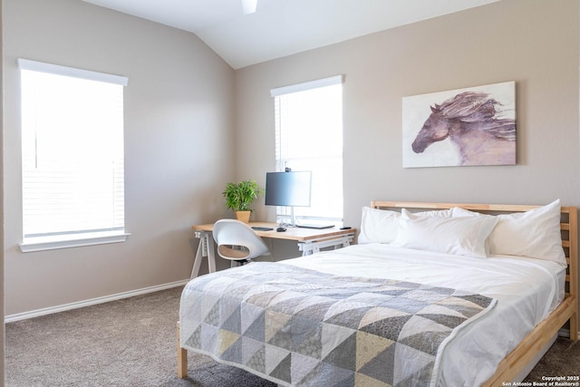 5944 Sterling Vw, Schertz, TX 78108 - carpeted bedroom with vaulted ceiling and baseboards