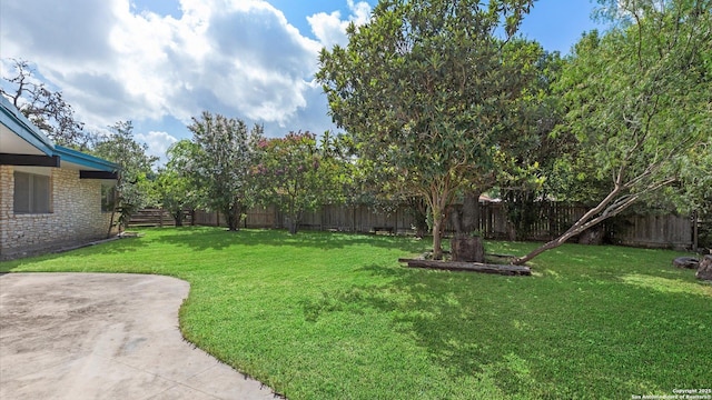 1318 Mount Vieja, San Antonio, TX 78213 - view of fenced backyard