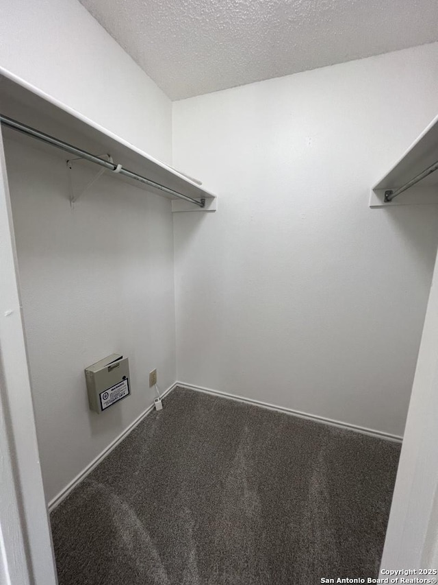 7947 Ruby Mdws, San Antonio, TX 78251 - walk in closet featuring carpet flooring