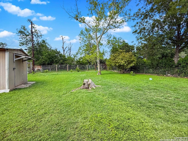 261 Shelburn, San Antonio, TX 78220 - view of yard with an outbuilding