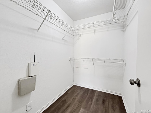 1222 Bobcat Pass, San Antonio, TX 78251 - spacious closet with dark wood finished floors