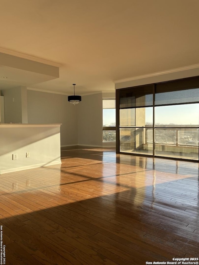 7887 Broadway Unit 601, San Antonio, TX 78209 - empty room with ornamental molding, wood-type flooring, and a wall of windows