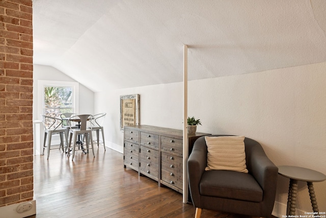 133 E Mistletoe Ave, San Antonio, TX 78212 - living area featuring vaulted ceiling and wood finished floors
